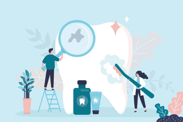 Professional Holistic Dental Care Services in Marist College, NY